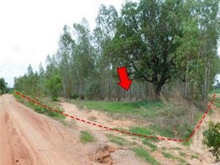 出售 土地 在 Nong Bua Daeng, Chaiyaphum