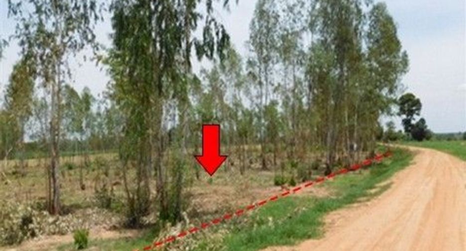 Продажа Участок в Nong Bua Daeng, Chaiyaphum