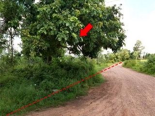 出售 土地 在 Nong Bua Daeng, Chaiyaphum