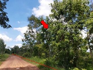 出售 土地 在 Nong Bua Daeng, Chaiyaphum