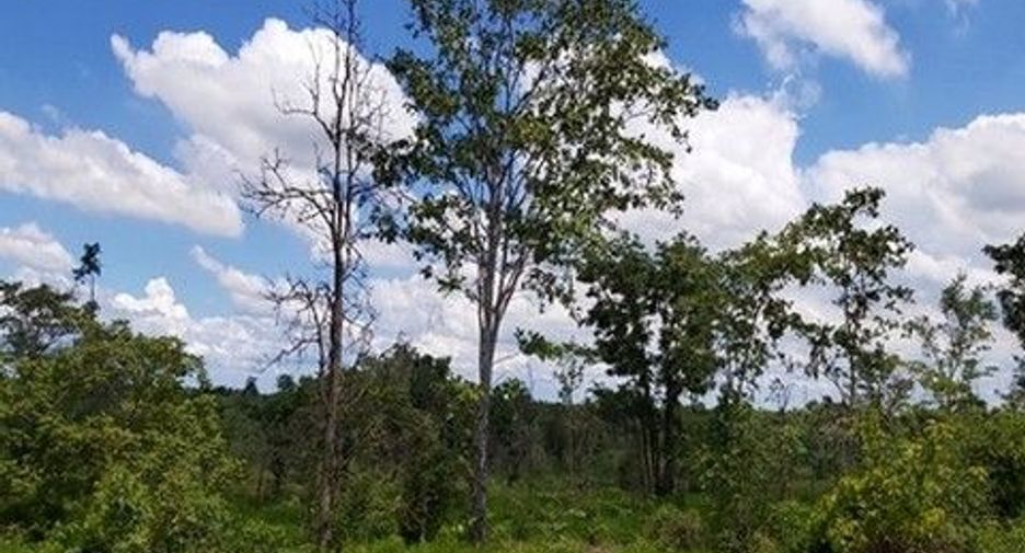 Продажа Участок в Nong Bua Daeng, Chaiyaphum