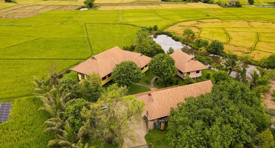 For sale 4 bedrooms house in Doi Saket, Chiang Mai