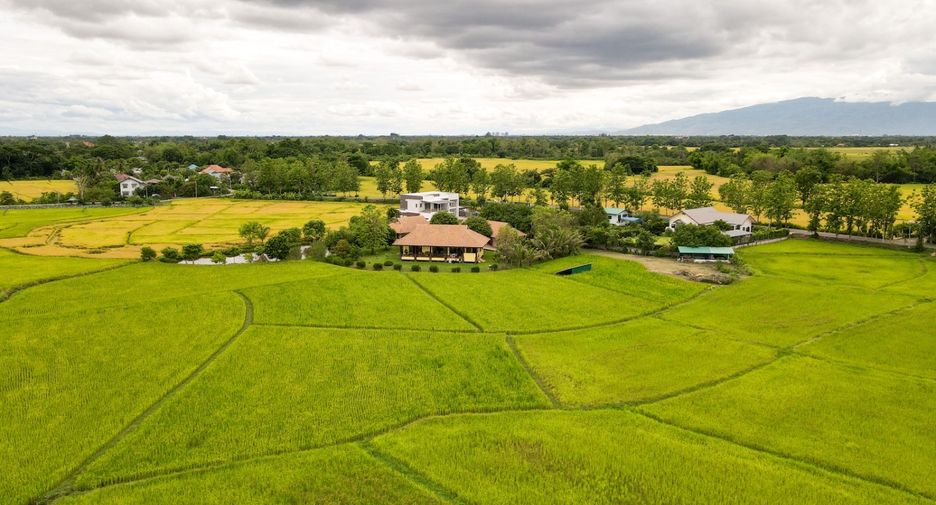 For sale 4 bedrooms house in Doi Saket, Chiang Mai