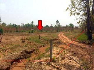 出售 土地 在 Nong Bua Daeng, Chaiyaphum