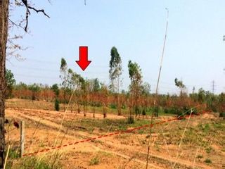出售 土地 在 Nong Bua Daeng, Chaiyaphum