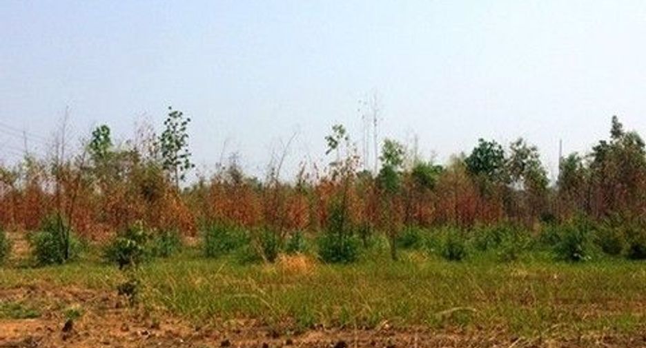 Продажа Участок в Nong Bua Daeng, Chaiyaphum