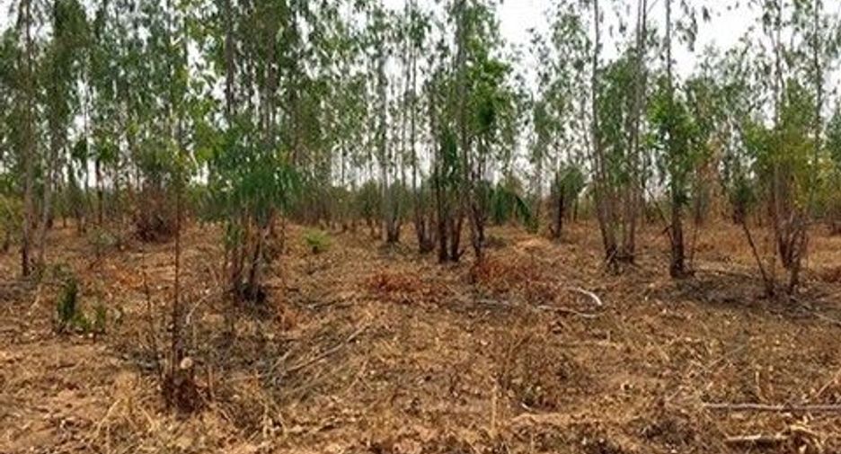 Продажа Участок в Nong Bua Daeng, Chaiyaphum