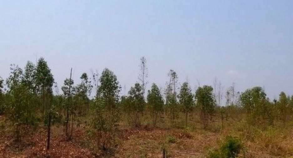 Продажа Участок в Nong Bua Daeng, Chaiyaphum