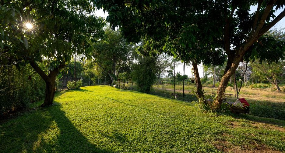 出租 和 出售 4 卧室 独立屋 在 Saraphi, Chiang Mai