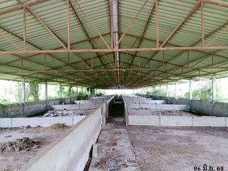 出售 1 卧室 仓库 在 Mueang Kalasin, Kalasin