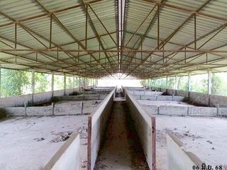 出售 1 卧室 仓库 在 Mueang Kalasin, Kalasin