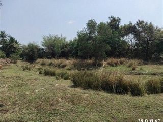 出售 1 卧室 仓库 在 Mueang Kalasin, Kalasin
