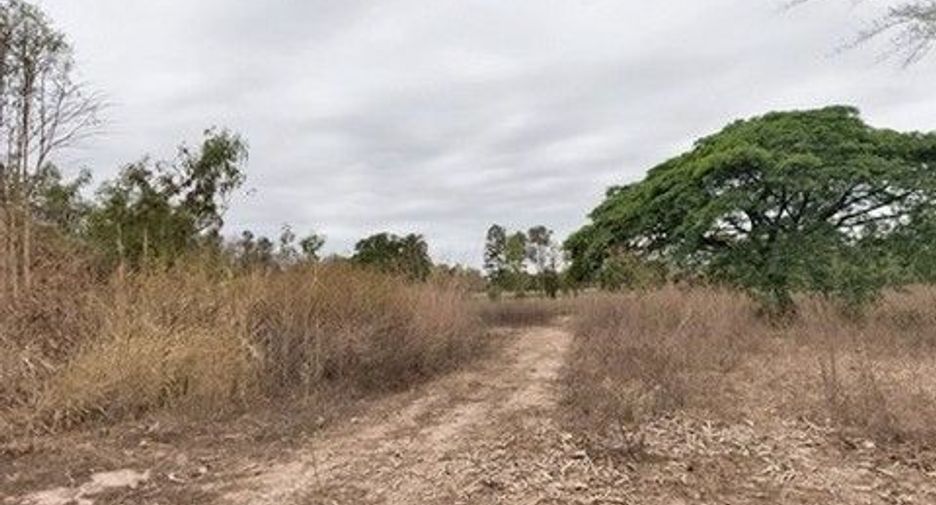 À vendre 1 chambre entrepôt à Mueang Kalasin, Kalasin