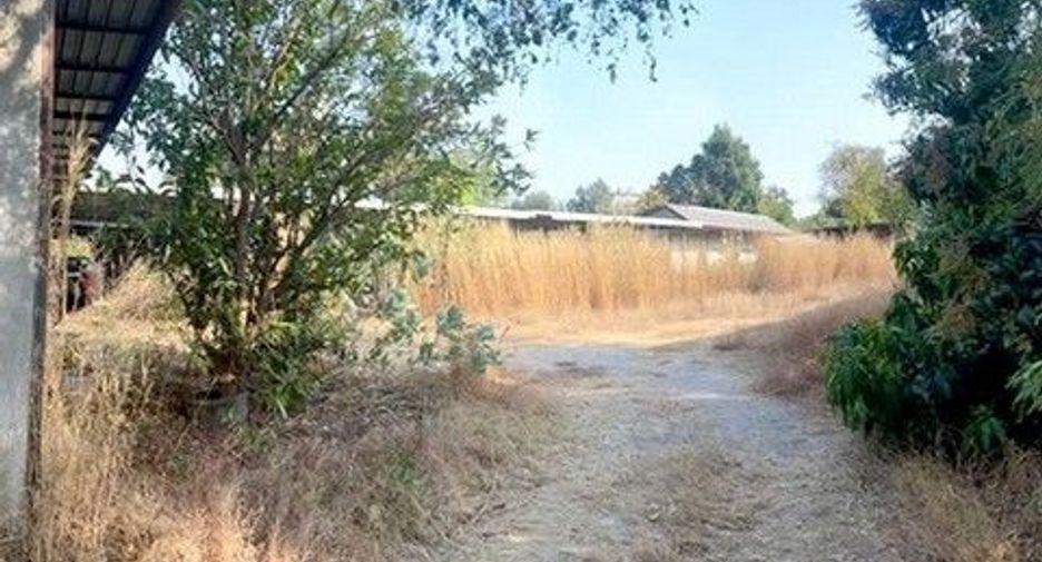 À vendre 1 chambre entrepôt à Mueang Kalasin, Kalasin