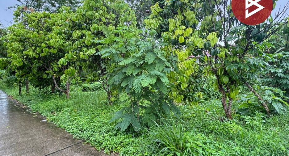 出售 土地 在 Pong Nam Ron, Chanthaburi