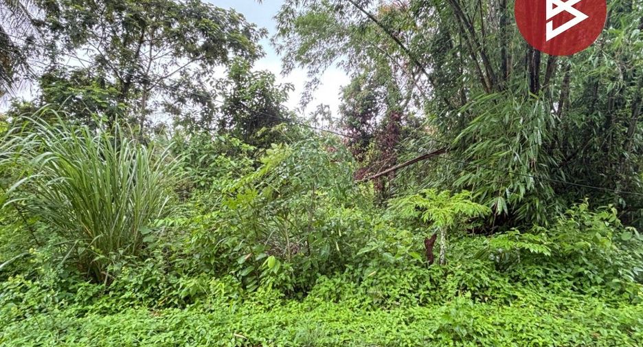出售 土地 在 Pong Nam Ron, Chanthaburi