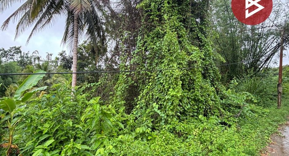出售 土地 在 Pong Nam Ron, Chanthaburi