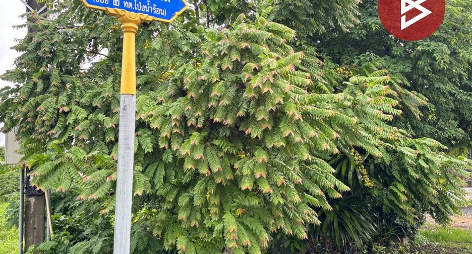 出售 土地 在 Pong Nam Ron, Chanthaburi