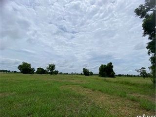 出售 土地 在 Mueang Kalasin, Kalasin