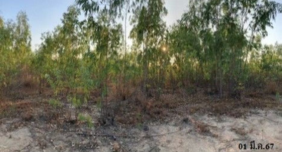 Продажа Участок в Mueang Buriram, Buri Ram