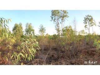 出售 土地 在 Mueang Buri Ram, Buri Ram