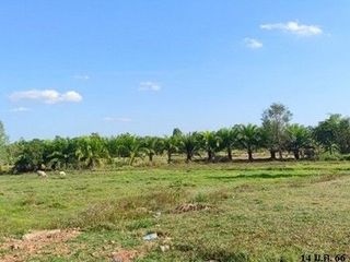 出售 土地 在 Mueang Bueng Kan, Bueng Kan