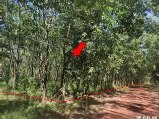 出售 土地 在 Mueang Bueng Kan, Bueng Kan