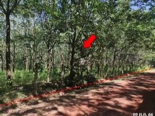 出售 土地 在 Mueang Bueng Kan, Bueng Kan