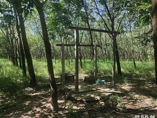 出售 土地 在 Mueang Bueng Kan, Bueng Kan