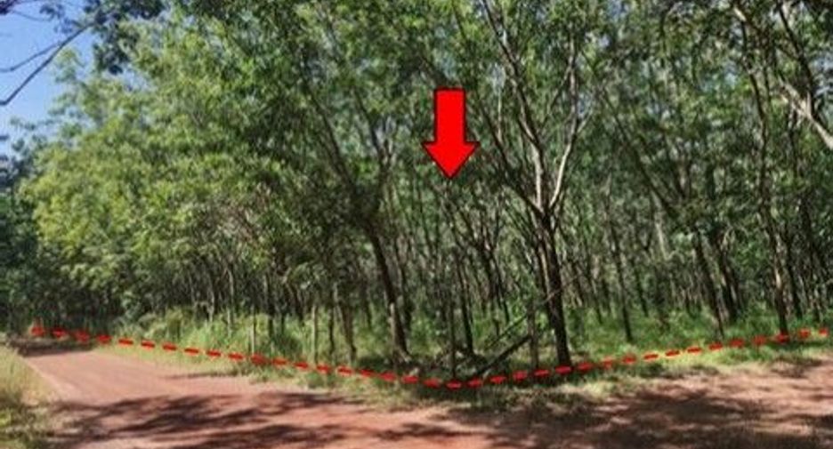 Продажа Участок в Mueang Bung Kan, Bueng Kan
