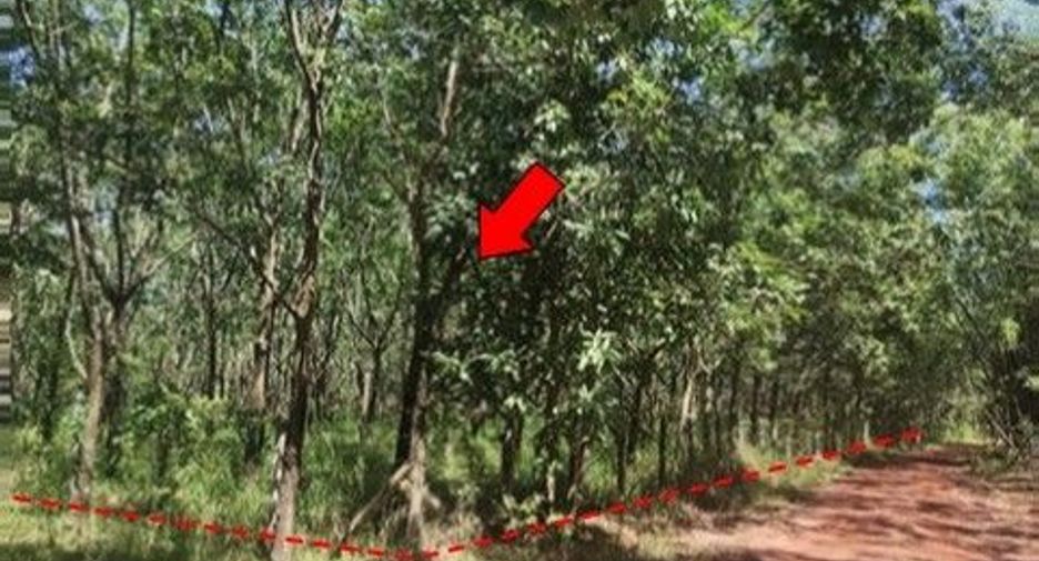 Продажа Участок в Mueang Bung Kan, Bueng Kan