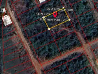 Terreno en venta en Kamphaeng Saen, Nakhon Pathom