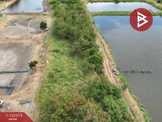 出售 土地 在 Bang Pakong, Chachoengsao
