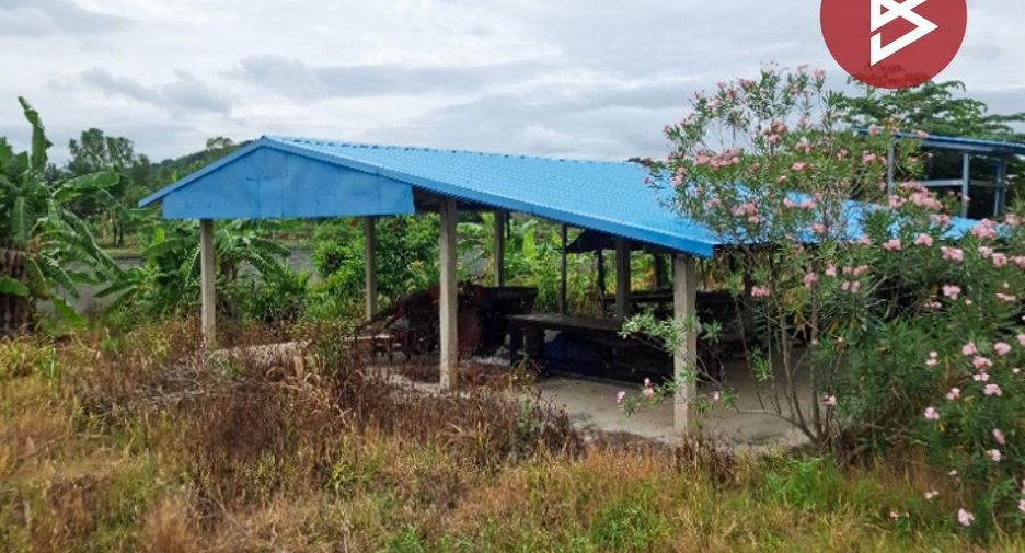 出售 土地 在 Mueang Chiang Rai, Chiang Rai