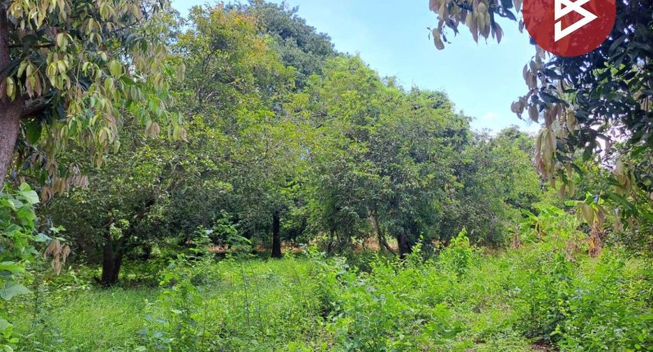 For sale land in Krok Phra, Nakhon Sawan