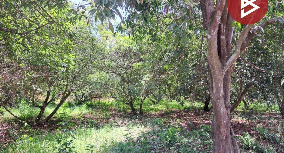 For sale land in Krok Phra, Nakhon Sawan