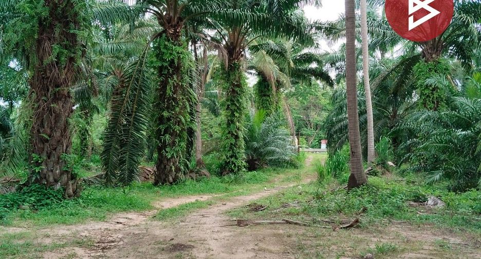 出售 土地 在 Mueang Chumphon, Chumphon