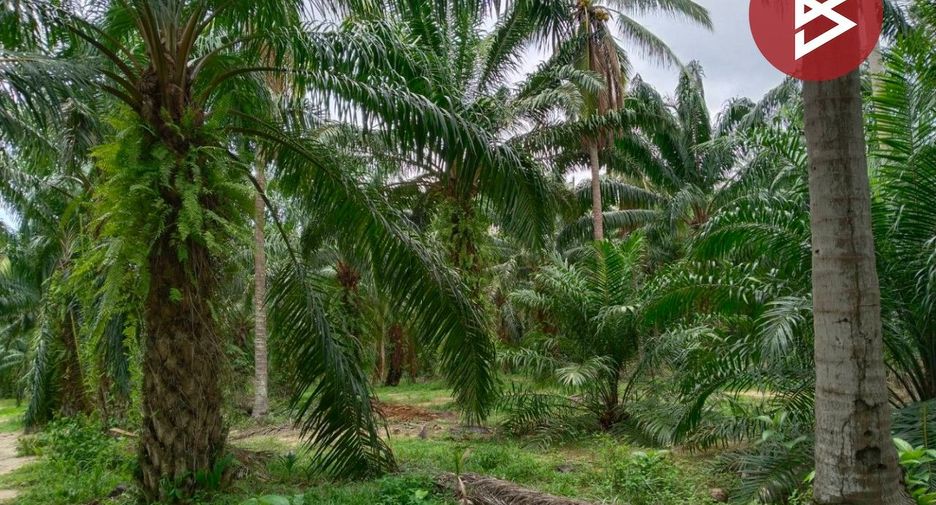 出售 土地 在 Mueang Chumphon, Chumphon