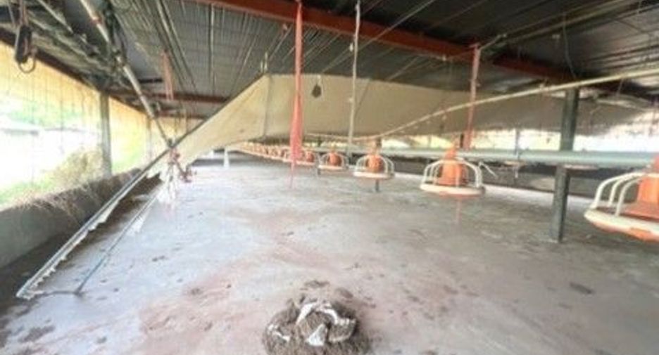 For sale 1 bed warehouse in Chok Chai, Nakhon Ratchasima