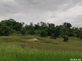 Grundstück zum Kauf in Chok Chai, Nakhon Ratchasima