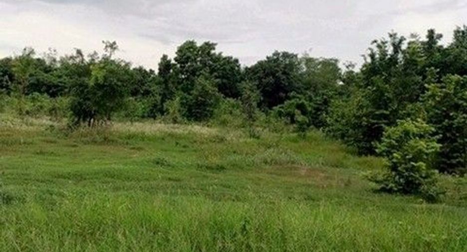 出售 土地 在 Chok Chai, Nakhon Ratchasima