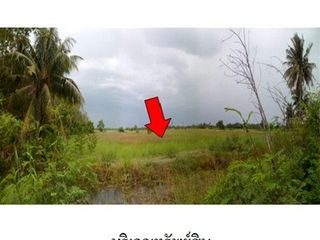 Grundstück zum Kauf in Chok Chai, Nakhon Ratchasima