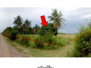 Grundstück zum Kauf in Chok Chai, Nakhon Ratchasima