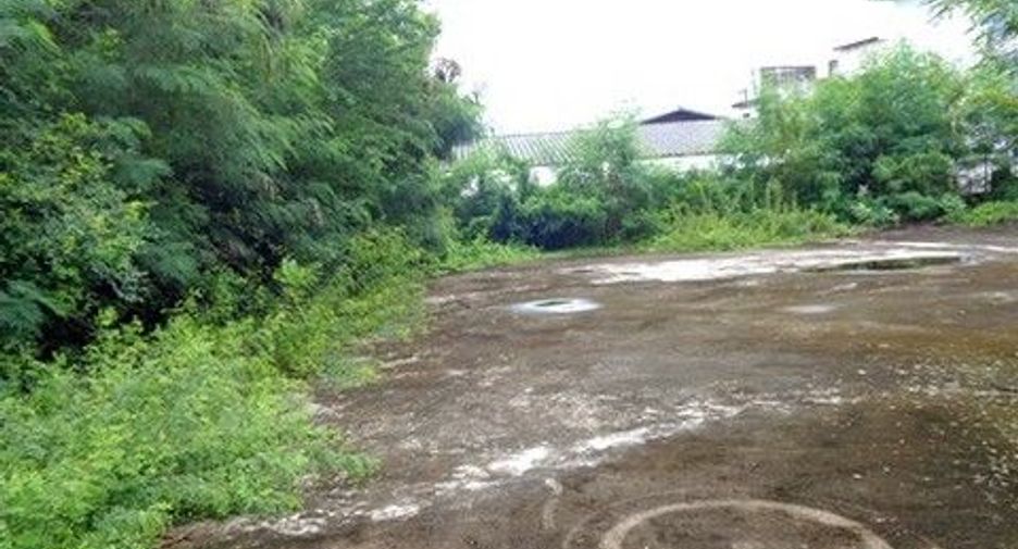 出售 土地 在 Chok Chai, Nakhon Ratchasima