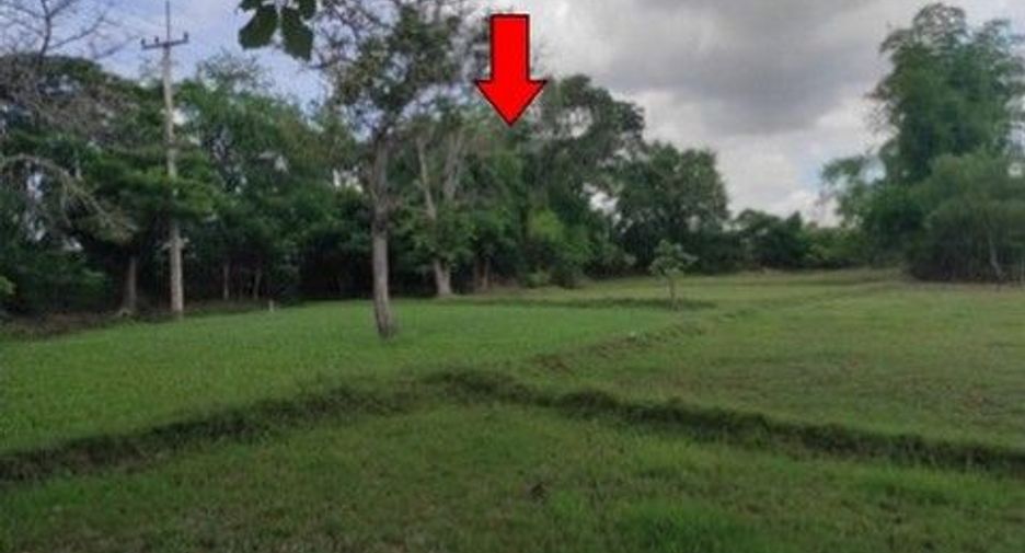 出售 土地 在 Chok Chai, Nakhon Ratchasima