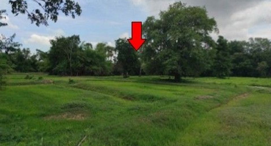 出售 土地 在 Chok Chai, Nakhon Ratchasima