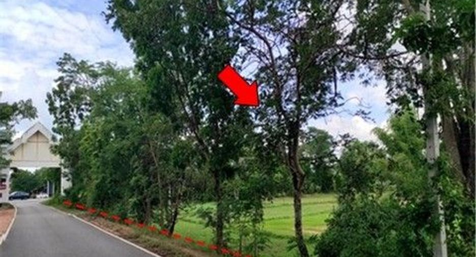 出售 土地 在 Chok Chai, Nakhon Ratchasima
