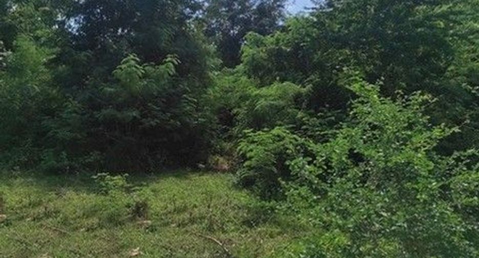 出售 土地 在 Chok Chai, Nakhon Ratchasima