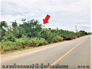 Grundstück zum Kauf in Chok Chai, Nakhon Ratchasima