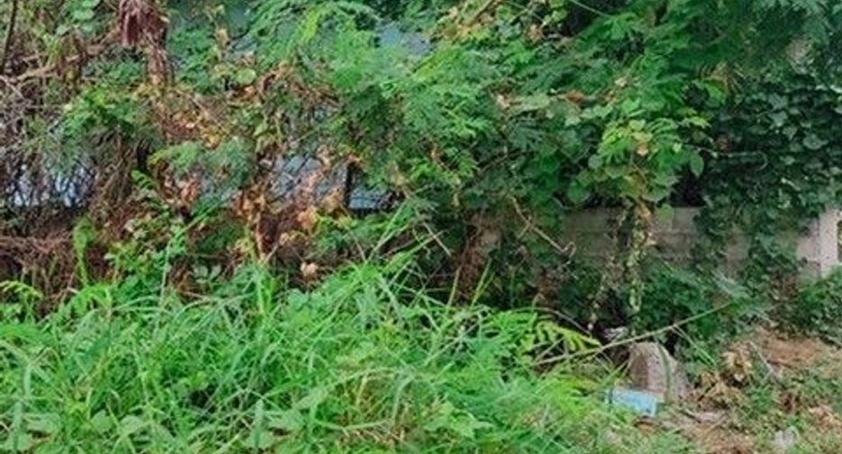 出售 土地 在 Chok Chai, Nakhon Ratchasima